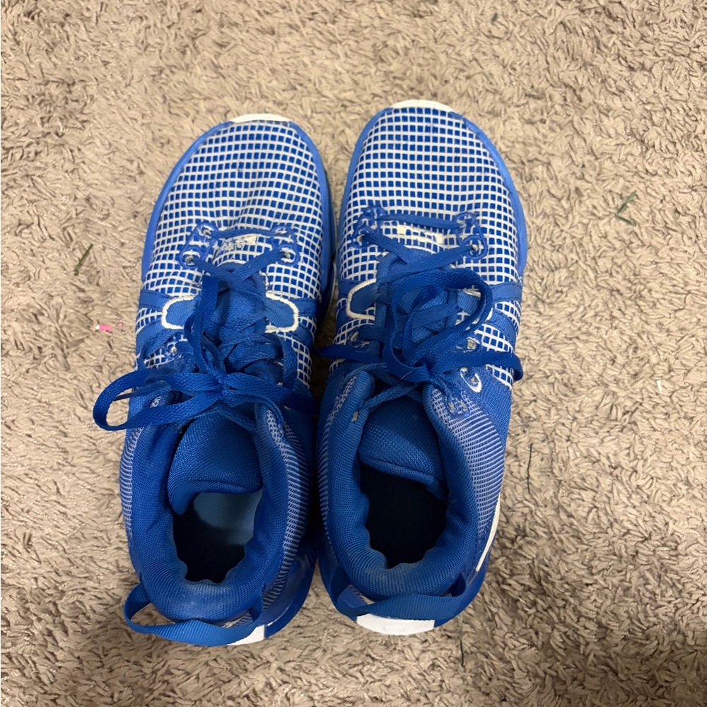LEBRON JAMES COURT SHOES